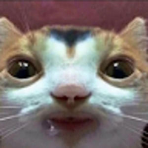 Meet your Posher, Vicky